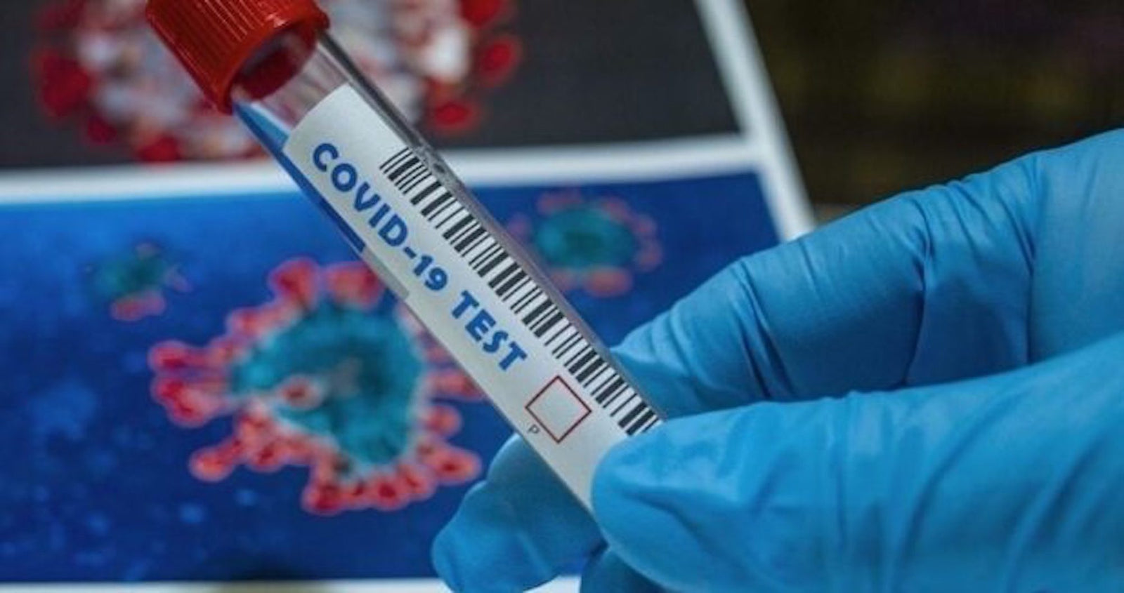 Costa Rica Travel Guide